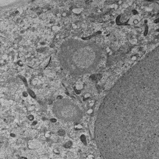  NCBI Organism:, ; Cell Types:; Cell Components:;