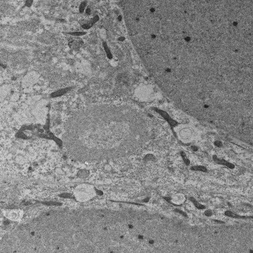  NCBI Organism:, ; Cell Types:; Cell Components:;