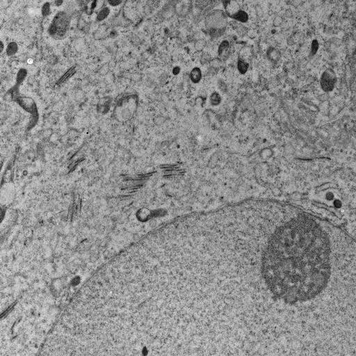  NCBI Organism:, ; Cell Types:; Cell Components:;