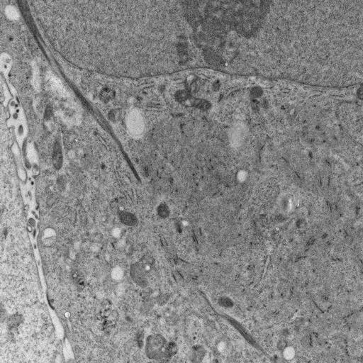  NCBI Organism:, ; Cell Types:; Cell Components:;