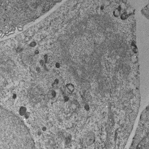  NCBI Organism:, ; Cell Types:; Cell Components:;