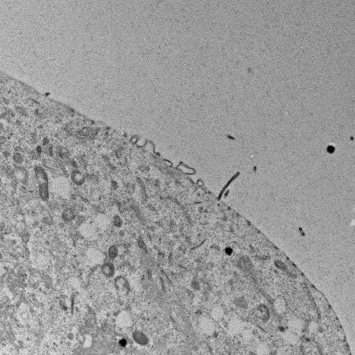  NCBI Organism:, ; Cell Types:; Cell Components:;