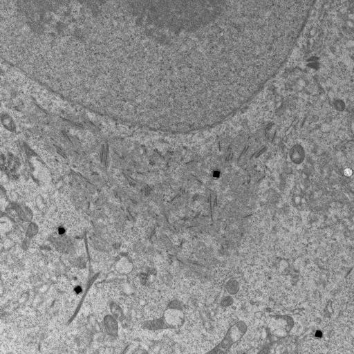  NCBI Organism:, ; Cell Types:; Cell Components:;