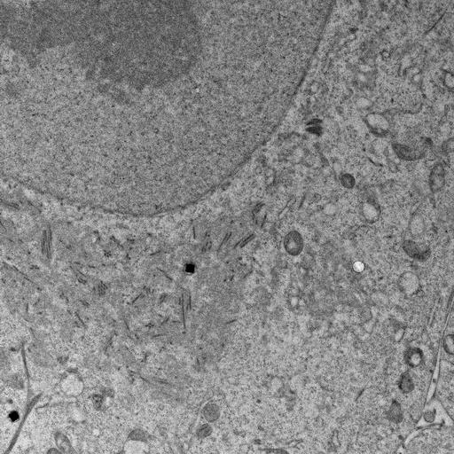  NCBI Organism:, ; Cell Types:; Cell Components:;