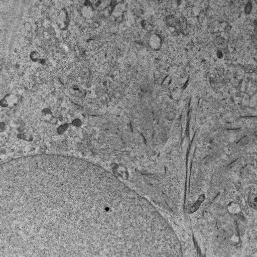  NCBI Organism:, ; Cell Types:; Cell Components:;