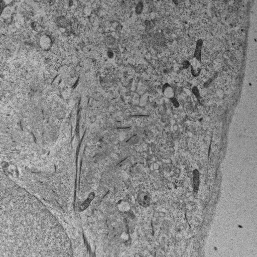  NCBI Organism:, ; Cell Types:; Cell Components:;