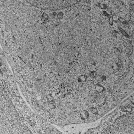  NCBI Organism:, ; Cell Types:; Cell Components:;