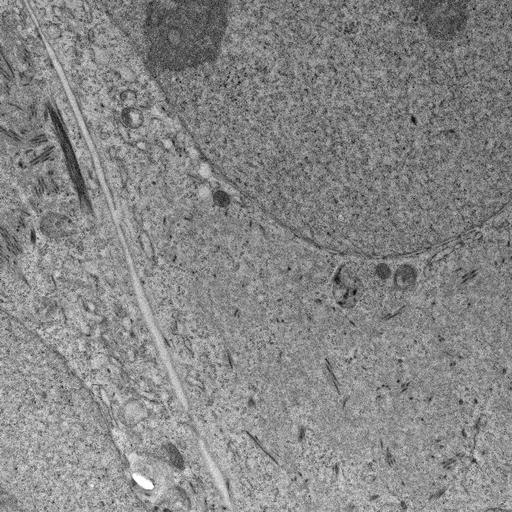  NCBI Organism:, ; Cell Types:; Cell Components:;