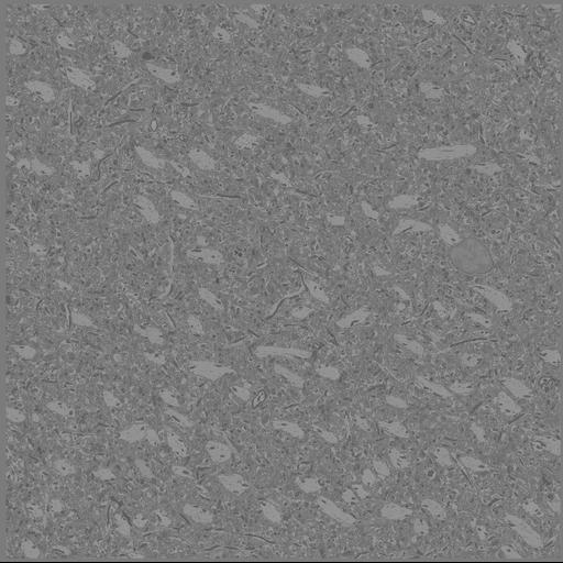  NCBI Organism:Mus musculus, ; Cell Types:; Cell Components:;