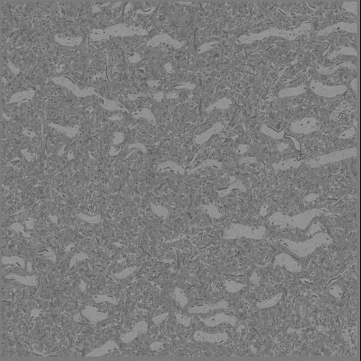  NCBI Organism:Mus musculus, ; Cell Types:; Cell Components:;