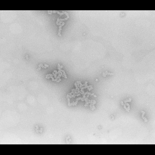  NCBI Organism:Necturus maculosus; Cell Types:nucleate erythrocyte Cell Components:nuclear chromatin Biological process:chromatin assembly