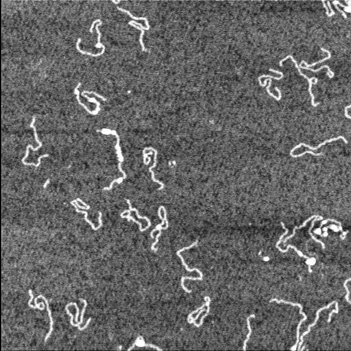  NCBI Organism:Homo sapiens;