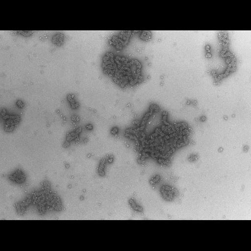  NCBI Organism:Necturus maculosus; Cell Types:nucleate erythrocyte Cell Components:nuclear chromatin Biological process:chromatin assembly