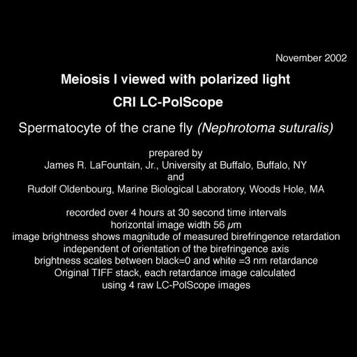  Cell Types:spermatocyte Cell Components:cytoskeleton, spindle, nuclear chromosome; Biological process:spindle assembly involved in male meiosis II