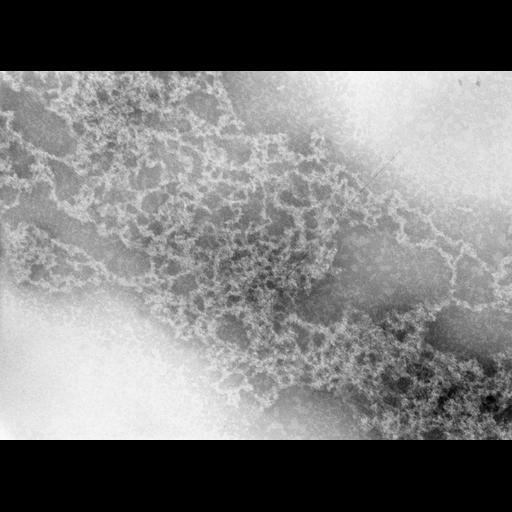  Cell Types:erythrocyte Cell Components:nuclear chromatin Biological process:DNA packaging