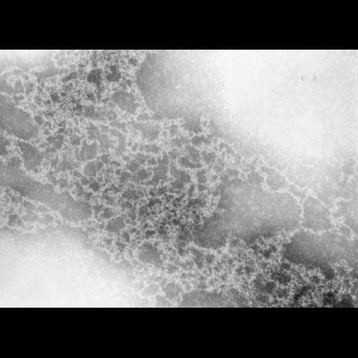  Cell Types:erythrocyte Cell Components:nuclear chromatin Biological process:DNA packaging